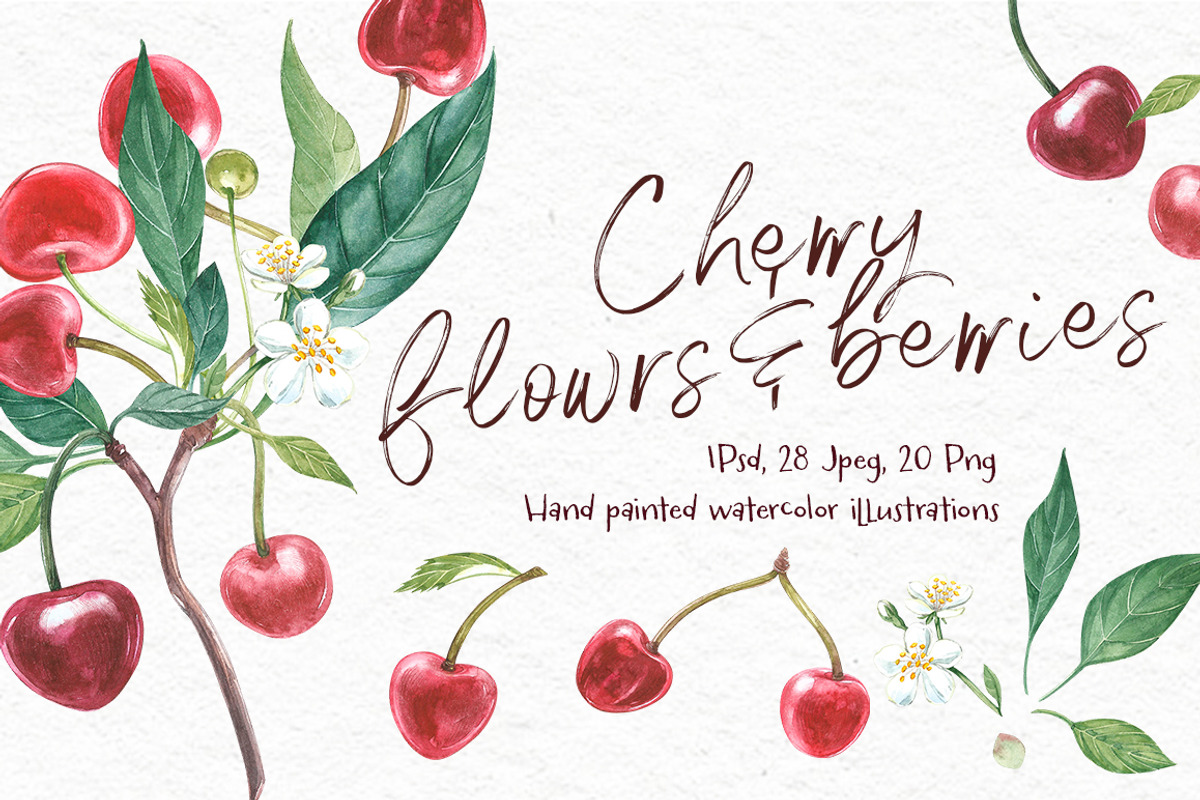 Cherry Graphic & Watercolor clipart, a Food Illustration by Ann Astro (Photo 2 of 5)