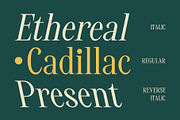 CS Alistair – Classic Font, a Serif Font by Craft Supply Co. (Thumbnail 3 of 8)