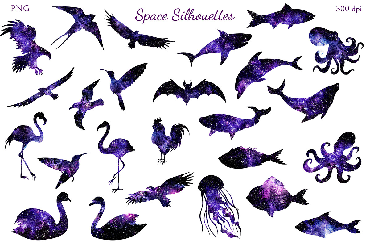 Space Silhouettes, an Animal Illustration by Salted Galaxy (Photo 3 of 8)