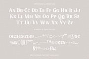 Charmist – Thick And Unique Serif, a Serif Font by Prioritype Co (Thumbnail 8 of 11)