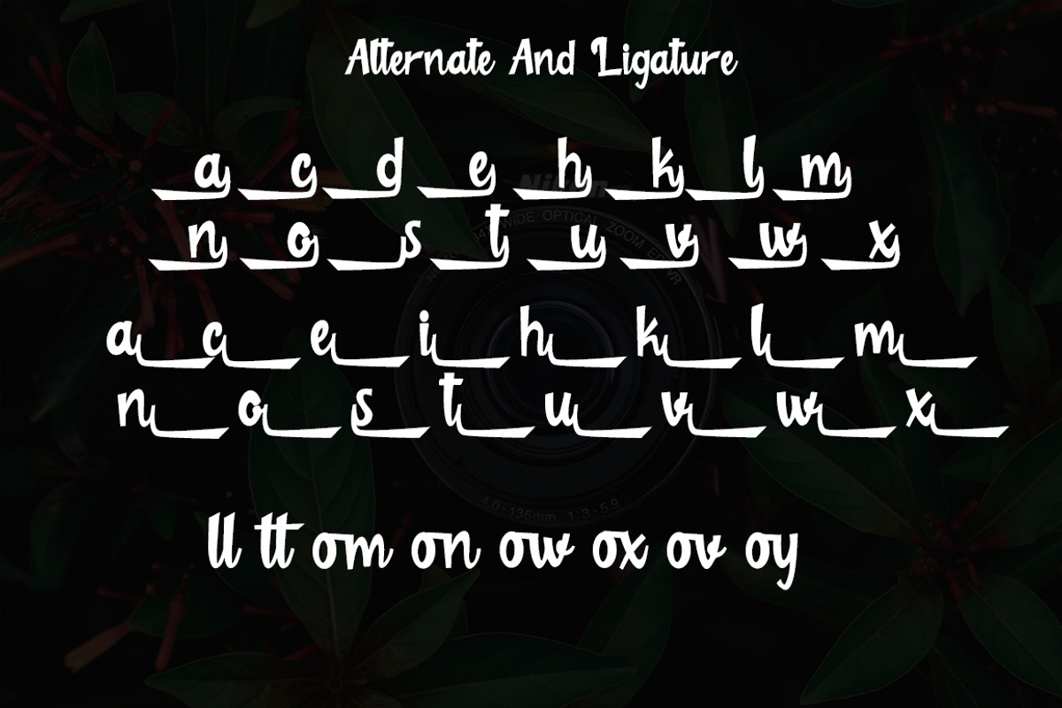 Logitect, a Script Font by Zaenal Studio (Photo 5 of 10)