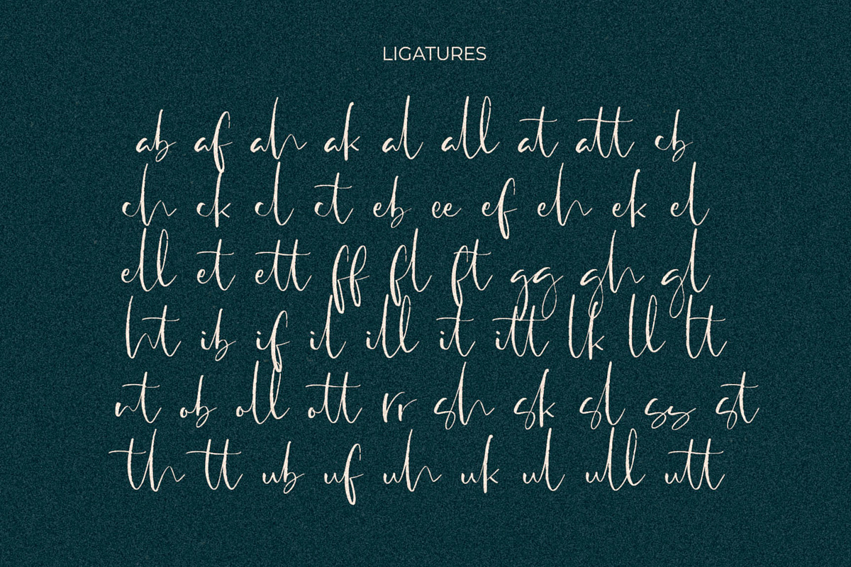 Antosan Script Font, a Script Font by Awanstudio (Photo 9 of 9)