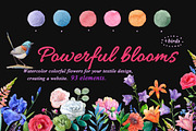 Watercolor flowers,birds., an Illustration by yulia.sukhanova (Thumbnail 1 of 8)