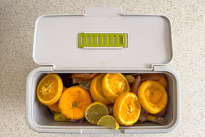 Household Organic Food Scraps Container, a Food & Drink Photo by THP Creative