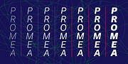 Promea, a Sans Serif Font by YXType (Thumbnail 3 of 9)