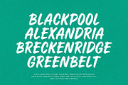 Craven - Display Font, a Script Font by Alpaprana (Thumbnail 4 of 9)