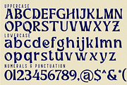 Creator's Collection | Ligature Font, a Sans Serif Font by 177Studio (Thumbnail 7 of 9)