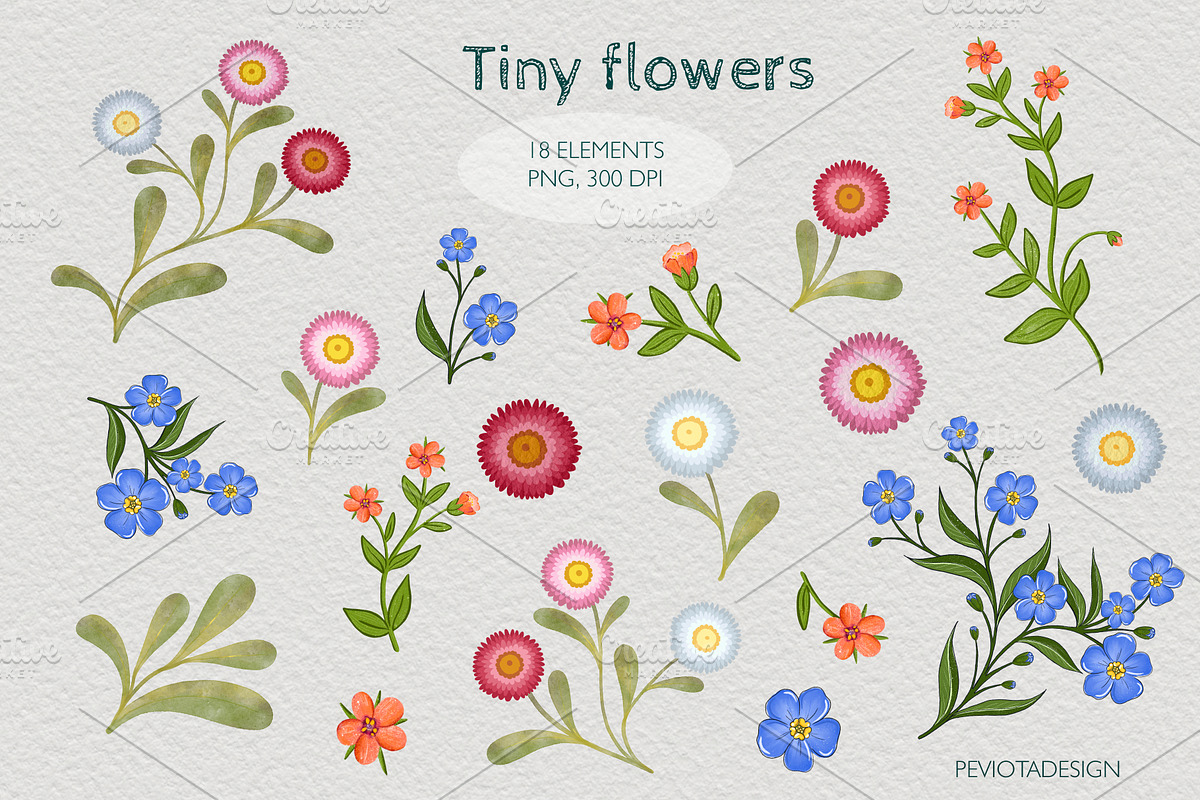 Tiny flowers, butterflies and leaves, a Seasonal Illustration by Peviotadesign (Photo 4 of 8)