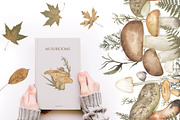 Watercolor Mushrooms Collection, an Education Illustration by MayaNavits (Thumbnail 10 of 14)