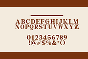 Diolivier Display Serif Font, a Serif Font by Grappict.com (Thumbnail 2 of 5)