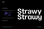 Gallinari - Modern Grotesk 36 Fonts, a Sans Serif Font by Jehoo Creative (Thumbnail 4 of 14)