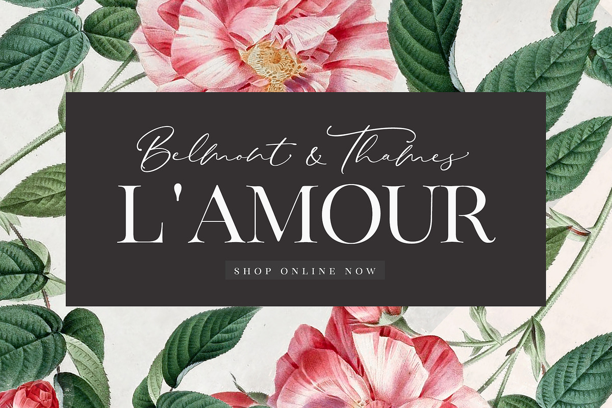 The Stay Classy Font Duo, a Serif Font by Nicky Laatz (Photo 8 of 36)