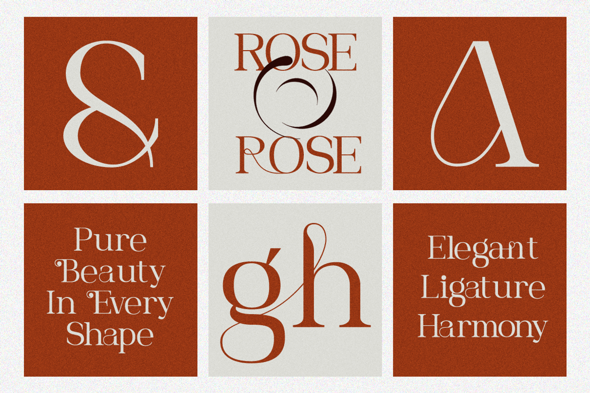 Roviane Modern Serif Font, a Serif Font by Rasio Studio (Photo 4 of 9)
