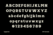 Carnivels - Bold Retro Serif Font, a Serif Font by Typeparties (Thumbnail 11 of 12)