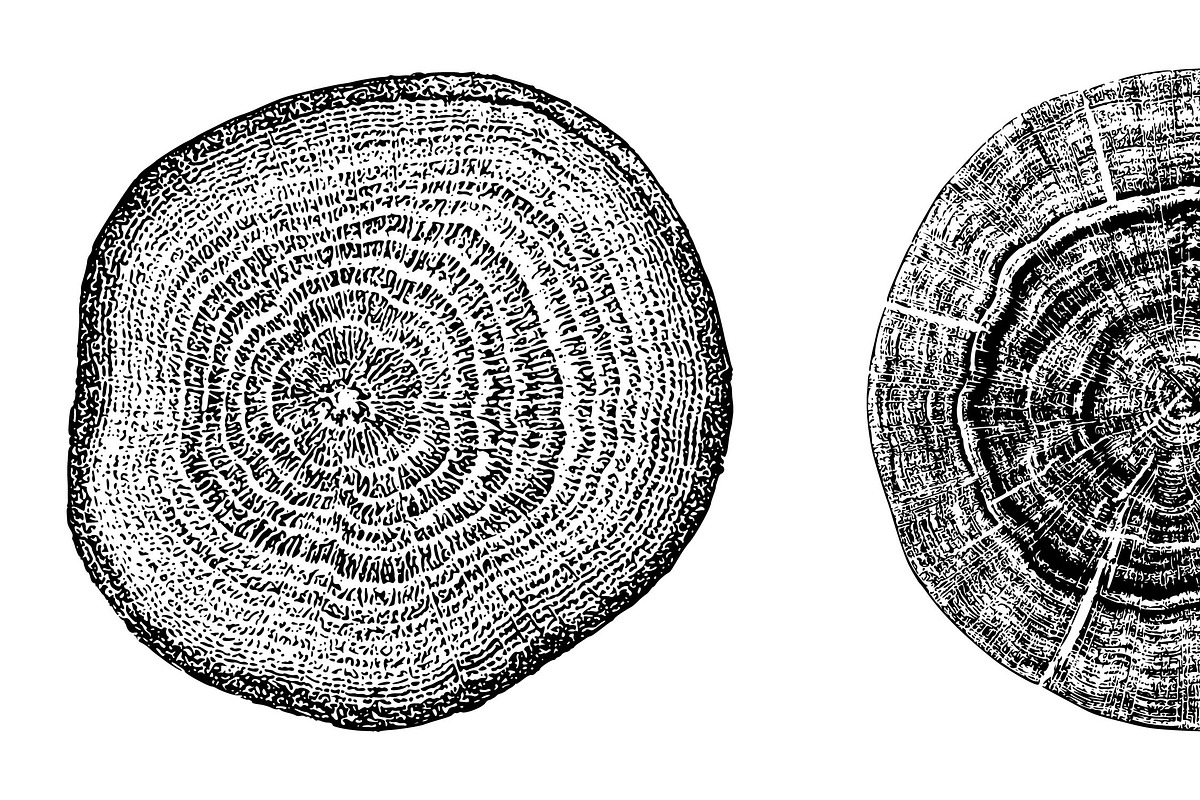 Woodlog Vector Template [ii], a Background Graphic by 103cia (Photo 1 of 3)