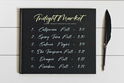 Italian Tempesta Handbrush Script, a Script Font by stylishtype.co (Thumbnail 12 of 15)