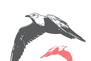 Dynamic Bird Illustrations Set, a Finance Illustration by CarWrap design (Thumbnail 3 of 3)