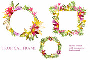 Tropical collection. Summer design., a Decorative Illustration by Lisima (Thumbnail 15 of 19)