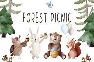 Woodland Animals Picnic Collection