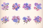 watercolor phlox cluster flowers, an Illustration by GatewayDesign (Thumbnail 2 of 9)