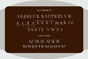 Molevin - Elegant Serif Font, a Serif Font by Aqeel_Art (Thumbnail 12 of 13)