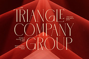 Wolles Elegant Modern Serif Font, a Serif Font by Elegant Font (Thumbnail 4 of 8)