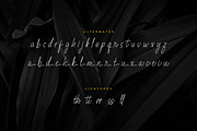 Fioretta Millano – Stylish Signature, a Script Font by Almarkhatype (Thumbnail 10 of 10)