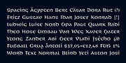 Distel, a Font by Finaltype (Thumbnail 4 of 11)