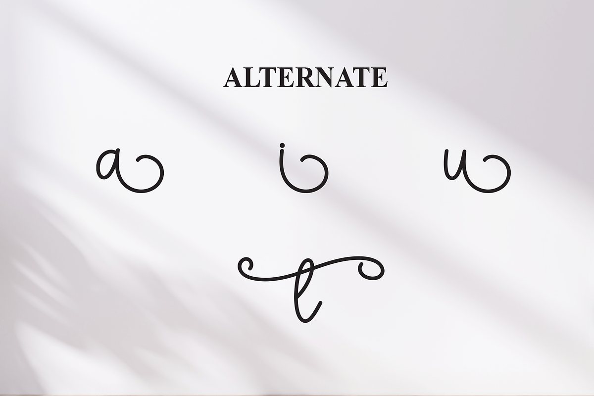 Nautica | Script Font, a Handwritten Font by Scratchones (Photo 8 of 9)
