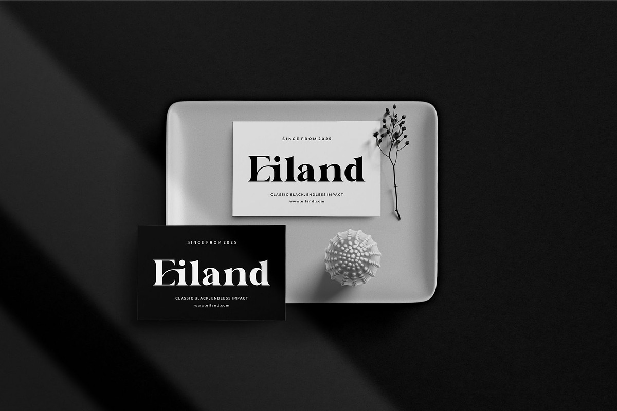 Begave || Modern Classy Serif Font, a Serif Font by Ermedia Studio (Photo 2 of 10)