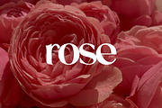 Voigante Display Classic Serif Font, a Serif Font by UICreative (Thumbnail 9 of 11)