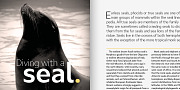 Ardena, a Sans Serif Font by Julien Fincker (Thumbnail 5 of 16)
