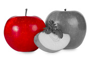 Selective Color Photoshop Action preview 3