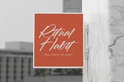 Fullgate Displant Bold Brush Font, a Script Font by stylishtype.co (Thumbnail 12 of 20)