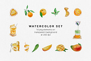Watercolor - Orange and Mango, a Decorative Illustration by bylin_illustration (Thumbnail 2 of 6)