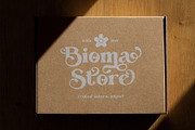 Dake Roile Elegant Serif Font, a Serif Font by Perfectype (Thumbnail 7 of 8)