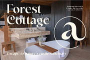 Victoria Culture Modern Serif, a Serif Font by timelesstype.co (Thumbnail 6 of 20)
