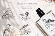 Charming forest - BUNDLE 4 in 1, a Decorative Illustration by Yuliia Lashevska (Thumbnail 5 of 26)