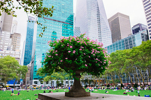 Bryant Park in Manhattan