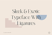 Casablanca - Sleek & Exotic Serif, a Serif Font by Alubia design (Thumbnail 3 of 11)