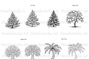 Tree Silhouette Clipart, Bonsai Tree, an Illustration by BrushstrokeArtGB (Thumbnail 6 of 10)