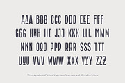 Massachusettz Narrow, a Handwritten Font by Foxys Type (Thumbnail 12 of 12)