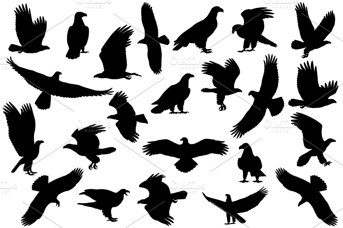 Bald eagle silhouette, an Animal Illustration by Viktoria.1703