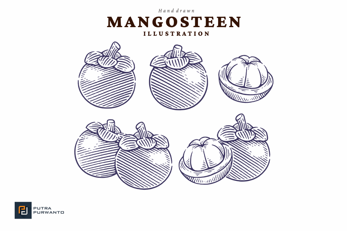 Hand Drawn Mangosteen Illustration, a Food Illustration by putra_purwanto (Photo 2 of 3)