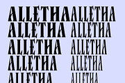 ALLETHA Family, a Serif Font by Canden Meutuah (Thumbnail 3 of 6)