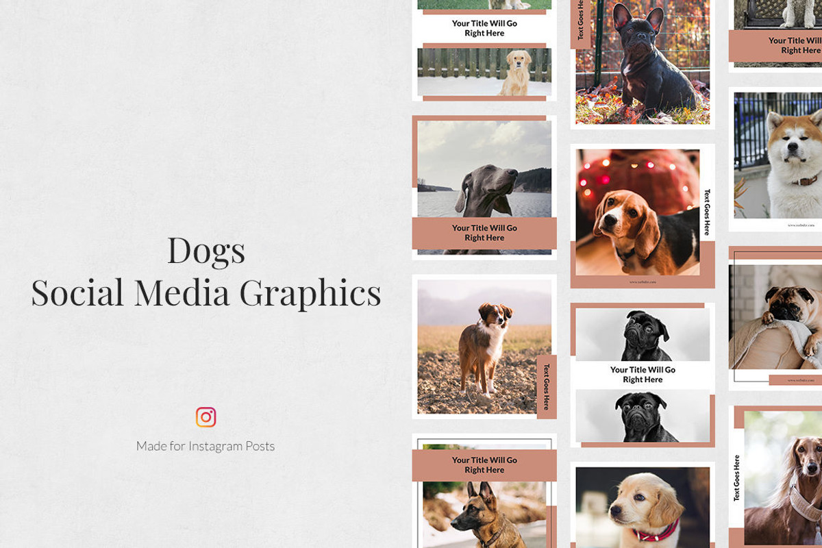 Everything Instagram Bundle, a Social Media Template by Social Corner Graphics (Photo 81 of 145)