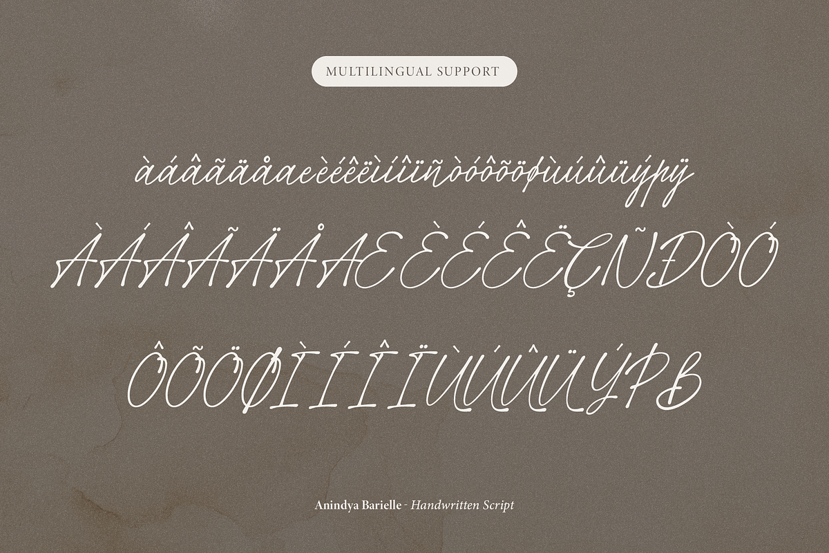Anindya Barielle Handwritten Script, a Script Font by Denustudios (Photo 13 of 15)