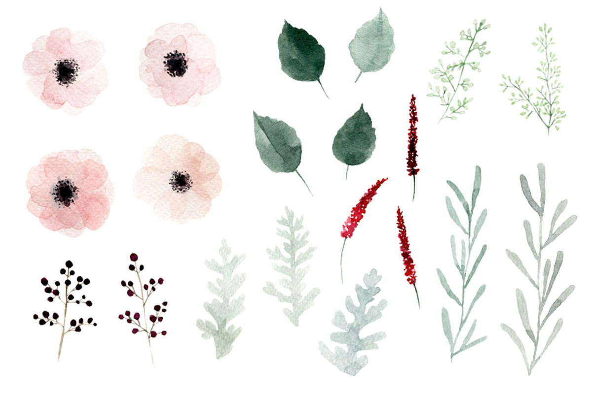 Anemones & Roses, an Illustration by MariePierLaf (Photo 3 of 5)