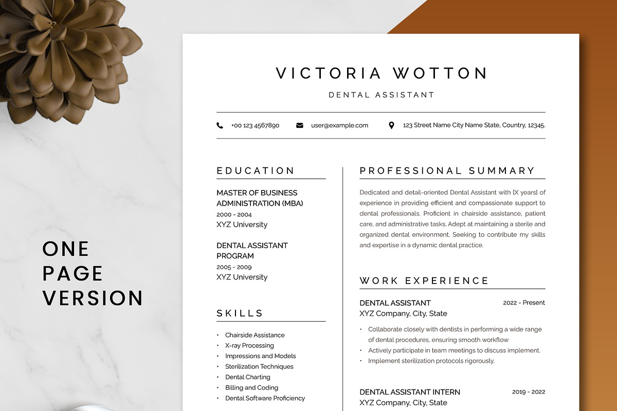 Dental Assistant Resume Templates preview 2