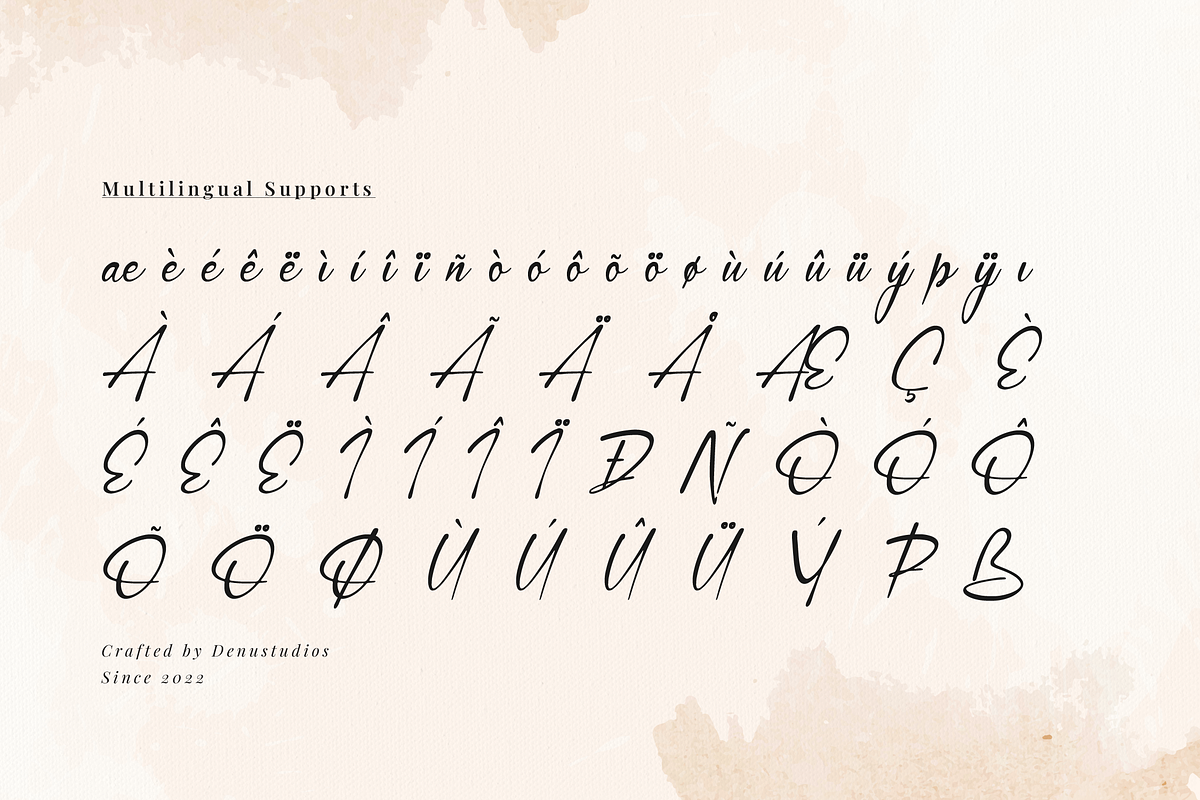 Gamlowfei | Elegant Signature, a Script Font by Denustudios (Photo 11 of 12)